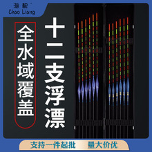 鱼漂全套光远户外12支浮漂套装鲫鱼鲤鱼组合套装鱼票盒带票醒目