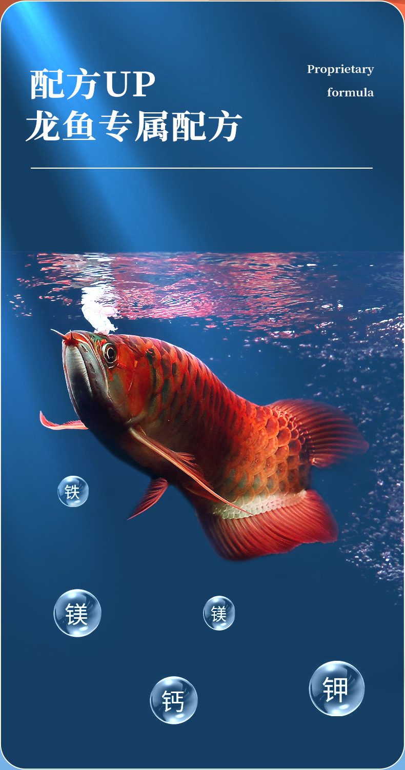 790_1502竖版 竖屏