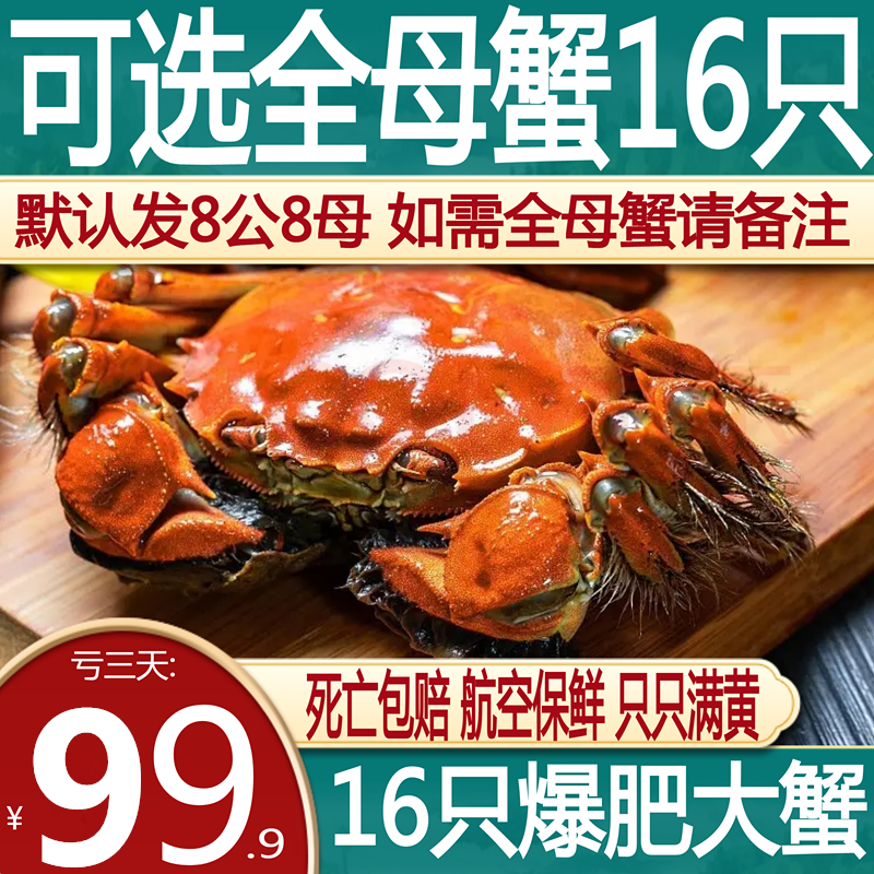 活蟹16只大闸蟹鲜活现货螃蟹特大六月黄河蟹毛蟹全母新鲜湖蟹满黄