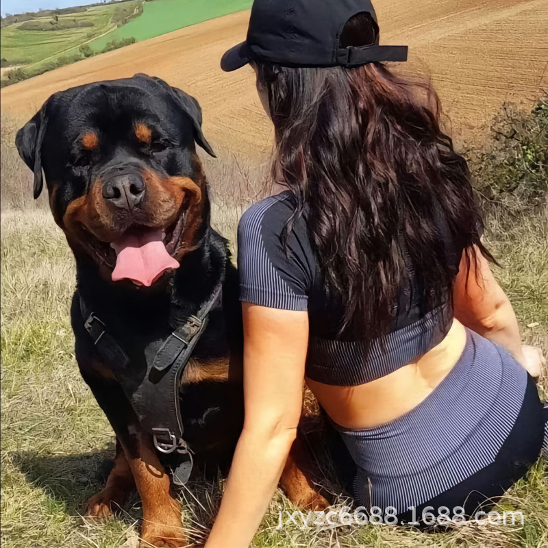 纯种赛级罗威纳幼犬大型防暴犬罗威纳警犬护卫犬看家犬-阿里巴巴