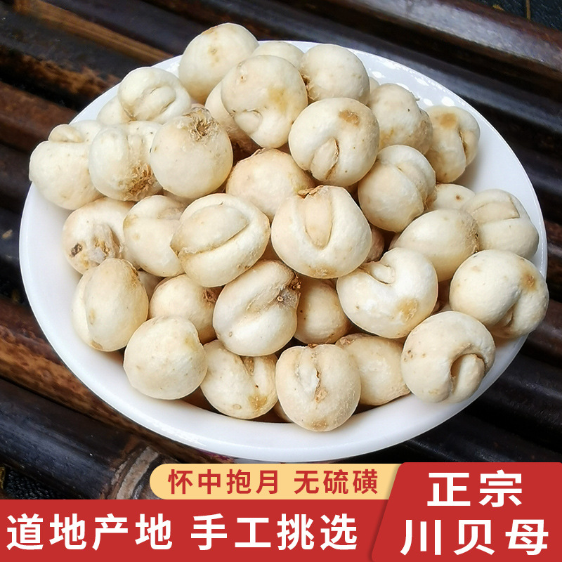 新货川贝母 中药材批发产地货源 平贝母豆贝各种规格 免费代磨粉