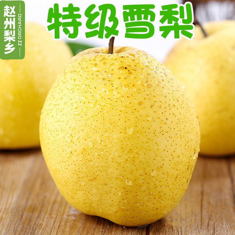 雪梨5斤河北赵县特产雪花梨新鲜水果梨子水晶梨冰糖雪梨产地直发