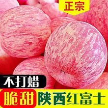 洛川苹果直发带头降价2023新果红富士陕西水果新鲜脆甜应季批发