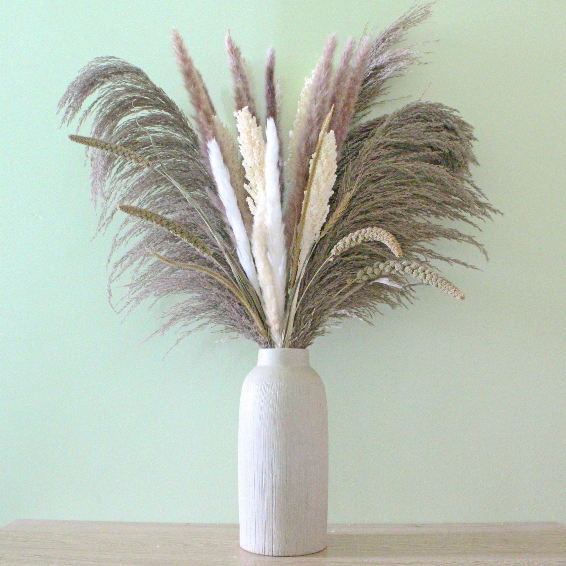 【量大优惠】天然铁杆芦苇大芦苇白高粱小米原色小芦苇白色小芦苇