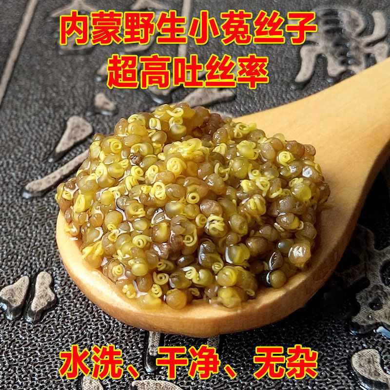 菟丝子内蒙野生中药材菟丝子泡茶泡酒滋补养申茶可搭配锁阳韭菜籽