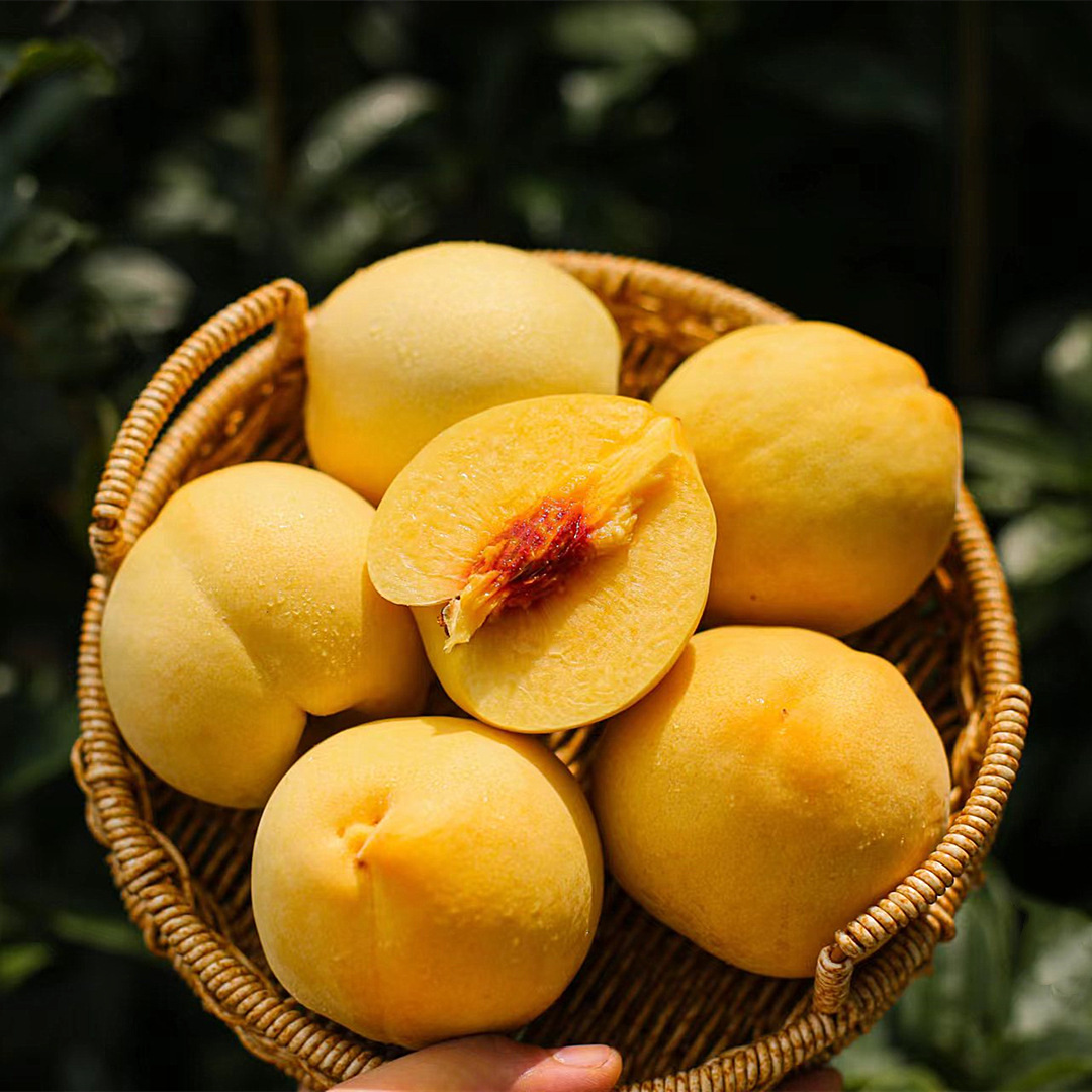 山东蒙阴锦绣黄桃4.5-5斤 新鲜水果黄毛桃