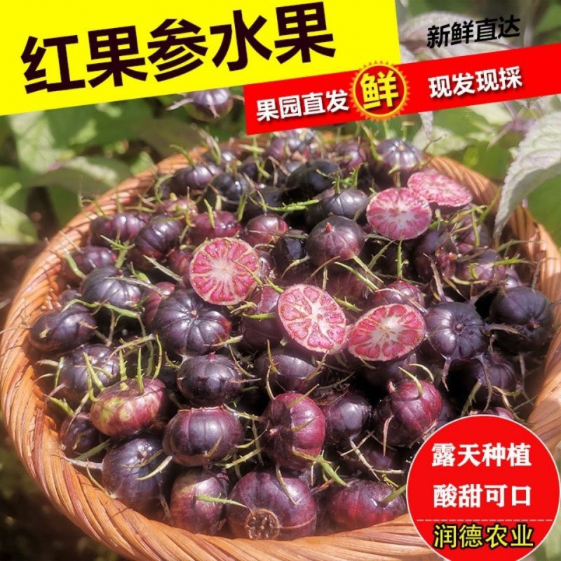 水果新鲜当应季红果参水果批发价罕见云南蜘蛛果算盘果礼盒装