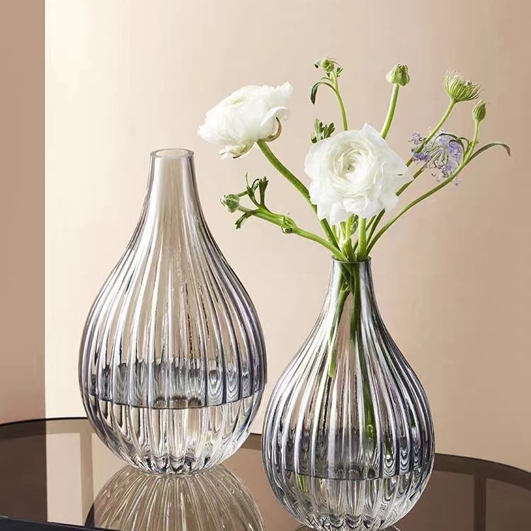 Nordic Style Big Belly Transparent Vase Small Mouth Vase Transparent Glass Hydroponics Bell Living Room Decoration Vase Decoration