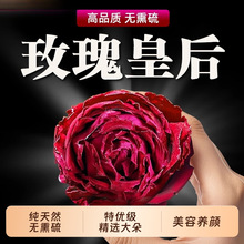 云南墨红玫瑰花茶官方旗舰店大朵冻干重瓣玫瑰花疏肝解郁养颜花瓣