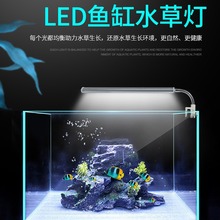 迷你小型鱼缸灯LED照明水族箱水草缸观景灯办公桌全光谱植载灯