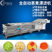 工厂生产毛豆粒预煮机 全自动青豆漂烫机 速冻蔬菜荷兰豆加工设备