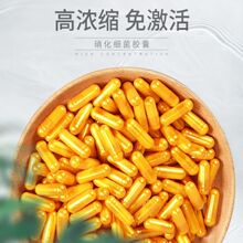 水族鱼缸硝化细菌胶囊消化细菌鱼缸净水剂养鱼用品水质浑浊发白