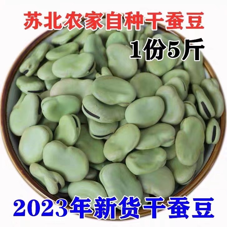 2023年刚下来的新干蚕豆5斤 生干蚕豆青胡豆干蚕豆罗汉豆250g包邮