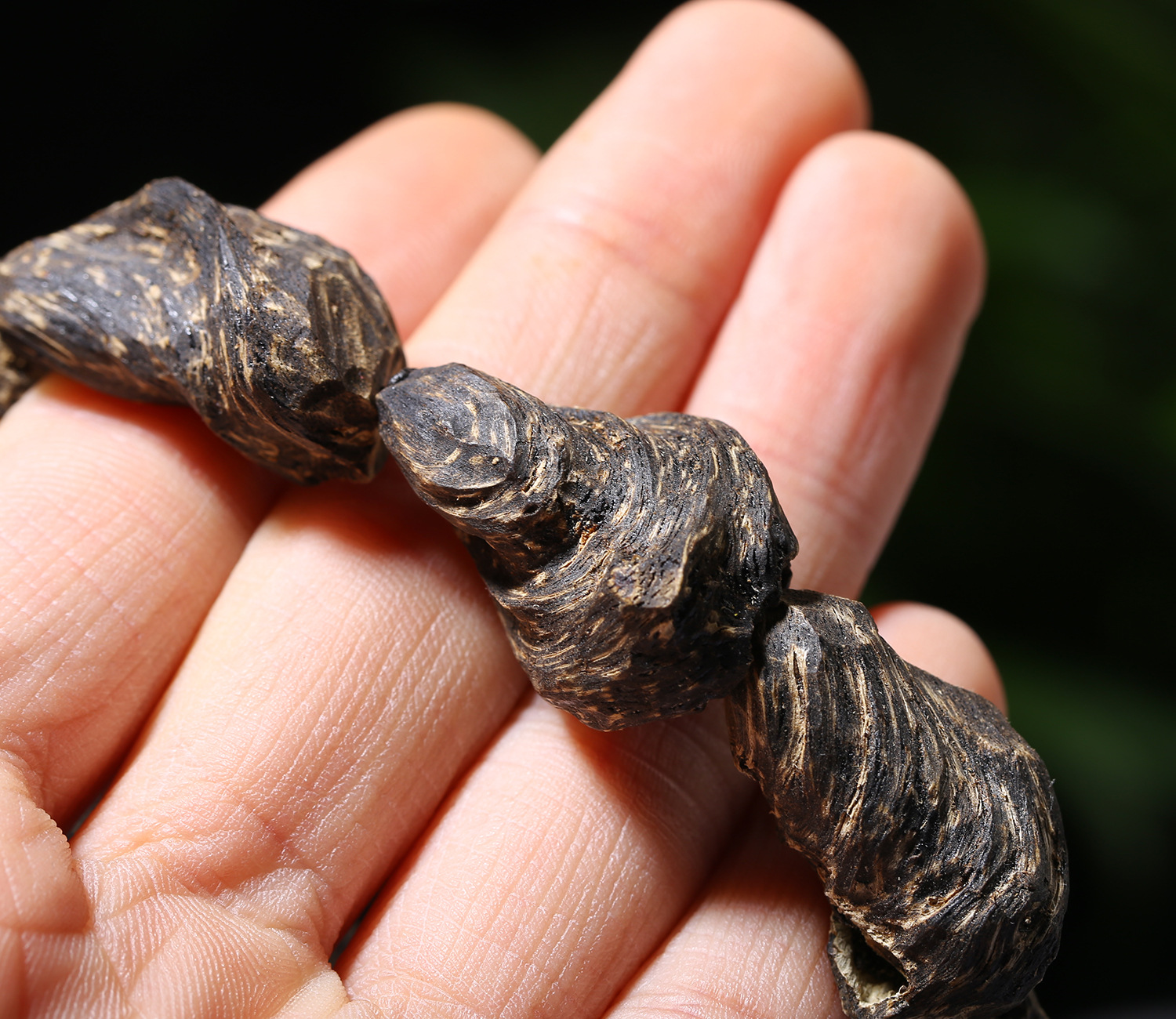 越南野生奇楠沉香手串随形高油百年老料沉水正区芽庄沉香男款高货