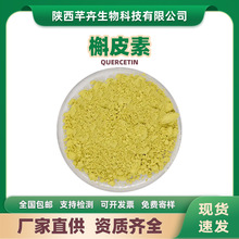槲皮素98%槐米提取物 栎精 槲皮黄素 100g/袋包邮 另有二氢槲皮素