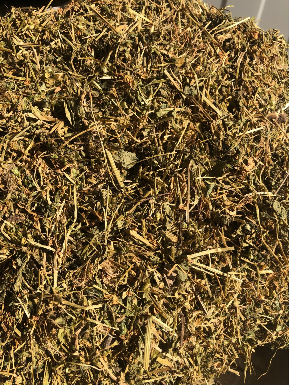 批发中药材小米草 芒小米草 药用小米草 各种规格 药厂投料