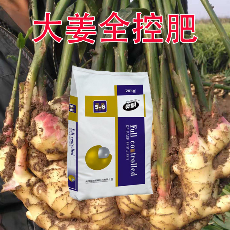 大姜生姜专用控释肥14-14-14均衡型高钾型全控复合肥底肥追肥厂家
