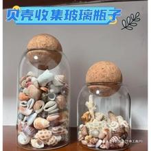 海边收集贝壳玻璃瓶球塞收纳容器瓶子捡贝壳透明瓶游玩捡贝母罐子