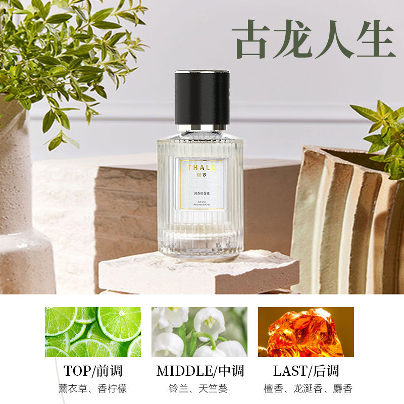 Wholesale Car Aromatherapy Auto Car Perfume Car Interior Aromatherapy Women's High-End Special Men's Fragrance Lasting Fragrance