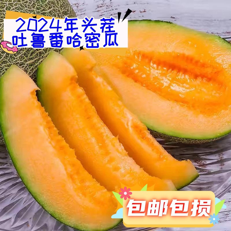 收藏产品现货分销权益登录查看是否享首单包邮或首单立减成交评价