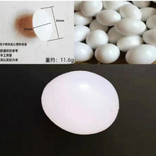鸽子蛋引诱仿真蛋实心塑料假蛋引蛋假蛋鸽子鹌鹑鹁鸪鸡鸽子饮水器