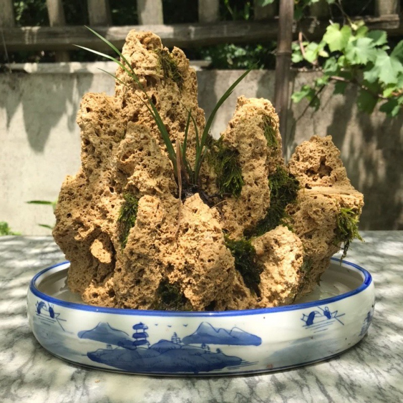 上水石吸水盆景石原石头微景观造景奇石观赏石盆景独立站批发厂家