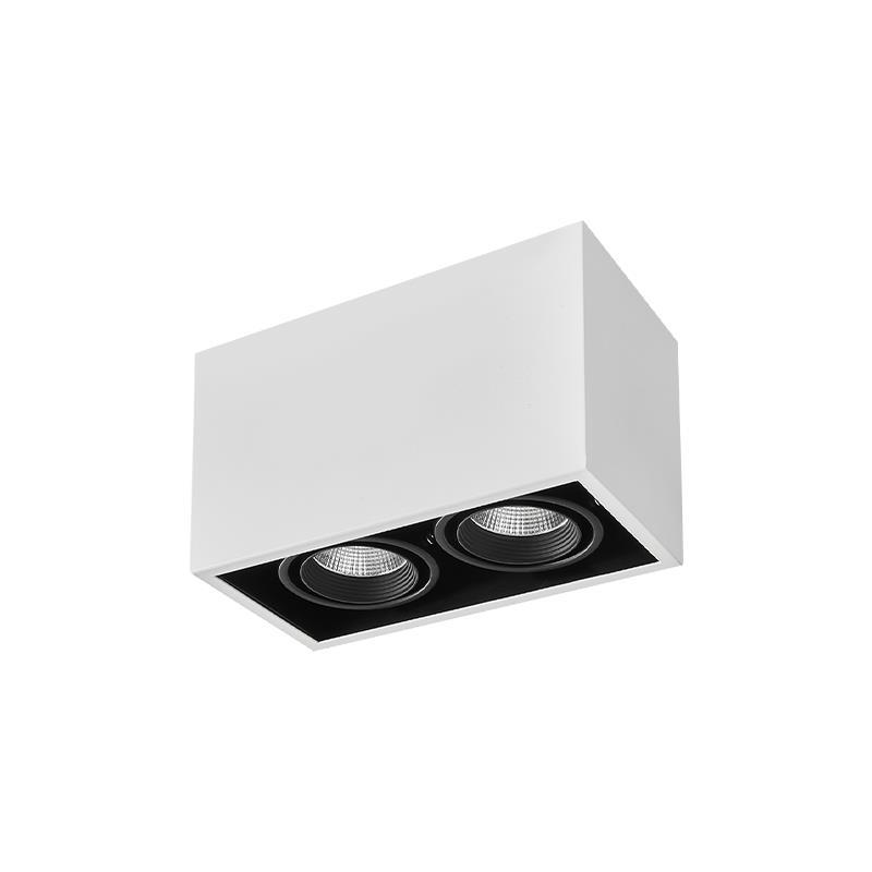 明装射灯可调角度双头斗胆灯客厅无主灯格栅灯玄关过道灯吸顶筒灯