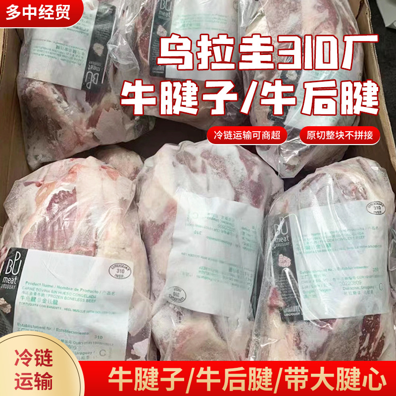 乌拉圭310厂牛腱子原切冷冻牛后腱 酒店餐饮卤味带大腱心现货批发