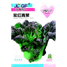 紫红青菜种子宽帮青菜四川芥菜种孑腌制泡菜酸菜秋季四季蔬菜种籽
