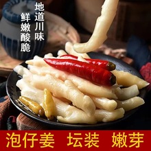 非遗四川特产泡仔姜农家泡姜嫩姜酸姜眉山泡菜泡生姜子姜菜姜泡椒