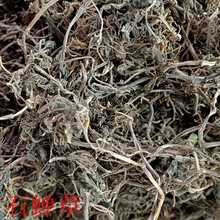 云南石蝉草 石马菜 别名胡椒草 散血胆 豆瓣七 中药材 火伤叶晒干