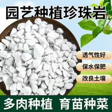 厂家供应珍珠岩颗粒 园艺用珍珠岩颗粒保水保湿育苗用珍珠岩颗粒