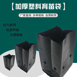 黑色加厚塑料育苗袋三叶青种植袋柑橘营养袋杯脐橙容器一次性花盆