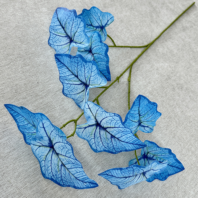 New Lace Alocasia Leaves Floriculture and Floral Arrangement Flowers Domestic Ornaments Photography Props Wedding Set Fake Leaves