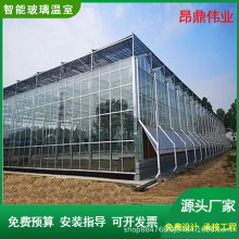 玻璃温室大棚 花卉园林智能温室 大棚厂家设计安装玻璃暖棚温室