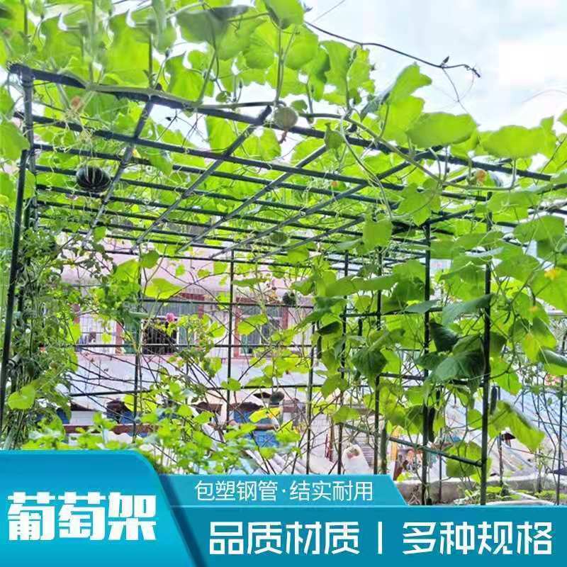 棚架庭院葡萄架爬藤杆架百香果黄瓜铁线莲攀爬架包塑钢管花支架