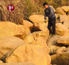 广西吨位黄蜡石 小型黄蜡石鱼池围边铺设 桂林黄蜡石假山水景
