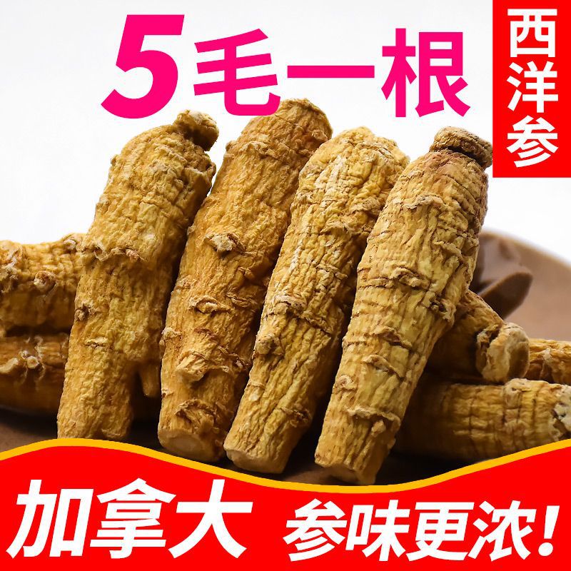 【5毛1根】网红6年加拿大西洋参花旗参野级人特生参-阿里巴巴