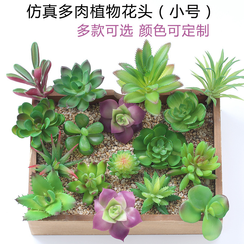 Wholesale Mini Succulent Flower Head Small Flower Arrangement Accessories Fake Succulent Plastic Flowers Decorative Plants Bonsai Greenery