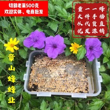 新蜂巢蜜 批发直批 盒装蜂巢蜜 荆条蜂巢蜜 老巢蜜 一件代发蜂巢