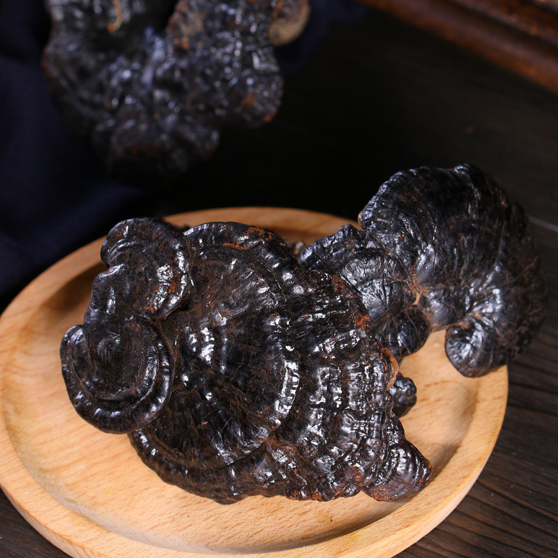 黑灵芝云南深山整枝黑林芝天然正品黑芝半野生灵芝250g赤灵芝切片