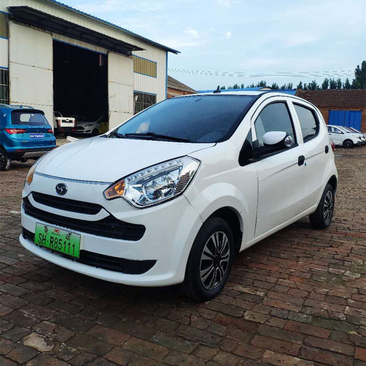 北京巽风油电光三用低速四轮电动车成人 油电两用孩子接送车家用