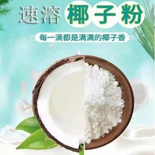 椰子粉椰汁粉无添加椰奶粉海南特产冲饮椰浆奶茶一件批发厂家批发