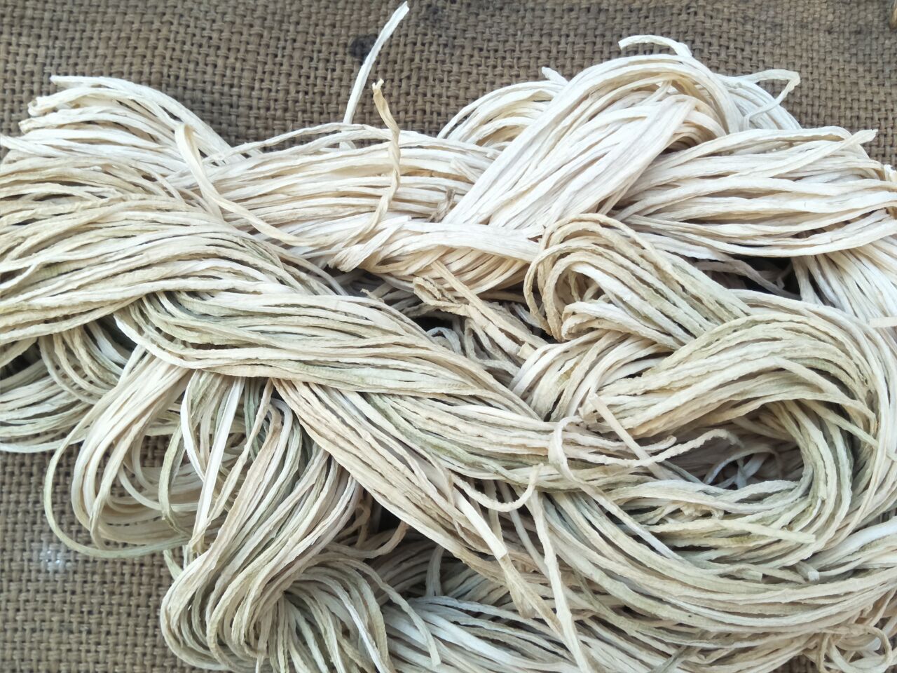 东北特产农家自制葫芦条干葫芦丝晒干葫芦菜干瓢干货500克