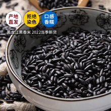 东北黑米5斤大米新货黑龙江农家紫米香米五谷杂粮粥糯米