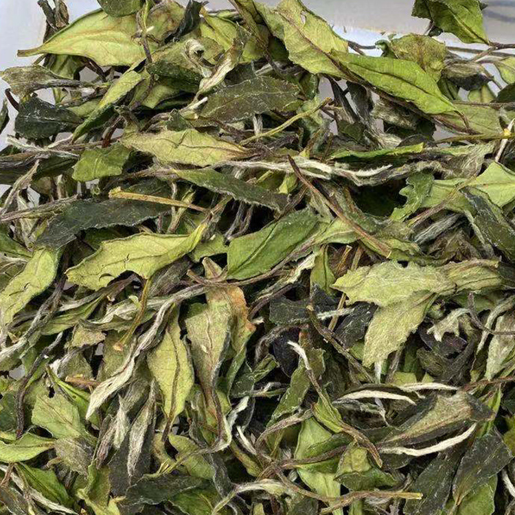 贡眉福鼎福建白茶厂家批发白茶500克散装批发新茶春寿眉