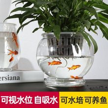 自动吸水懒人花盆透明塑料水培绿植养鱼两用创意简约清仓鱼缸厂家