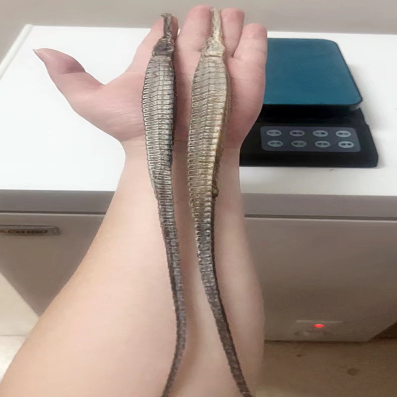 【大号六角海龙一对】 新晒六角海龙公母 水产干货中药材泡酒料煲