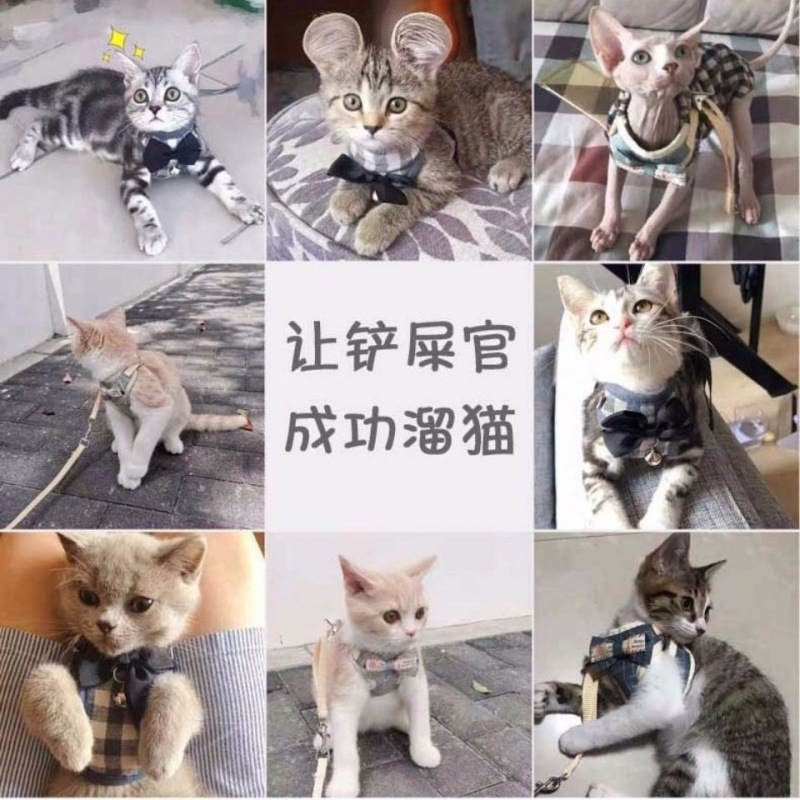 猫咪牵引绳遛猫绳可调节防挣脱猫绳小猫链子四季通用包邮