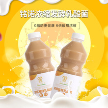 铭诺浓缩发酵乳酸菌饮料1.1kg优格益生菌酸奶饮品奶茶店商用批发